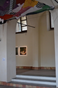 DSC_0455 (1)